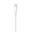 Lightning To USB Cable (2m)